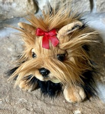 Aurora Miyoni Yorkshire