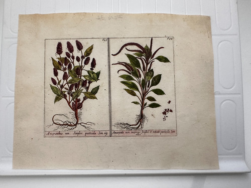 Piatto originale xix - xix, secolo