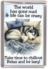 Calamita frigo per cani