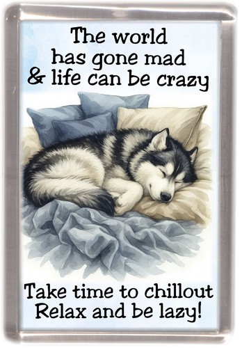 Alaskan malamute dog fridge - dog,