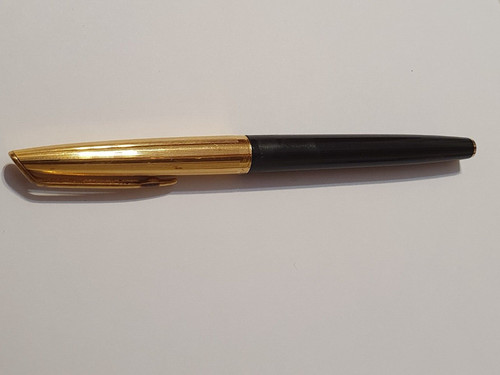 Penna stilografica waterman - stilografica,