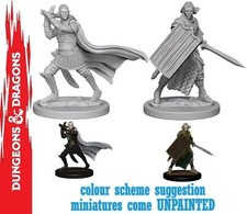 Wizkids Pathfinder Dcum Elf