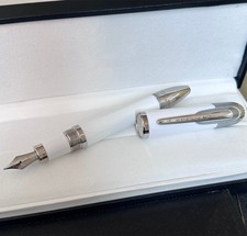 Penna stilografica nuova