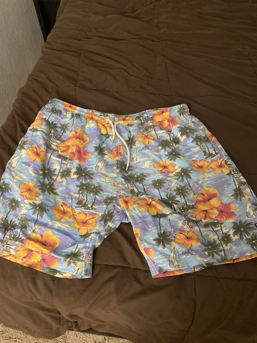Deus machina board - machina, shorts