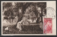 Italia 35 L. Carta massima