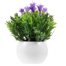  Piante in Vaso False Piantine