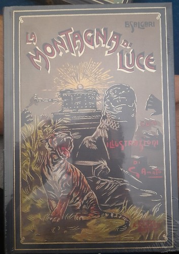Libro montagna luce - libro,