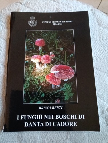 Funghi nei boschi danta - funghi,