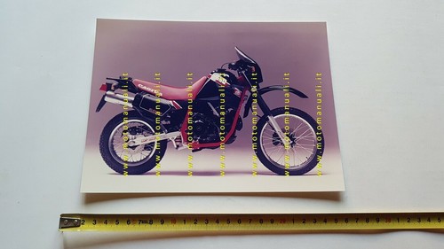 Cagiva elefant 650 - cagiva,