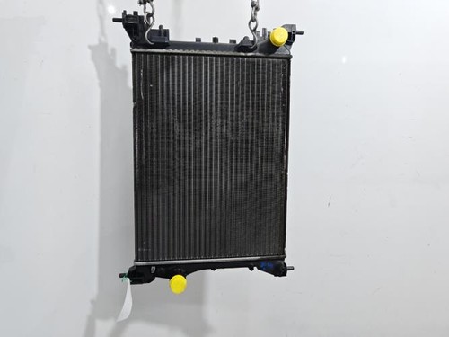 Radiatore acqua alfa romeo - alfa,