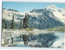 Cartolina Testa di Diamante