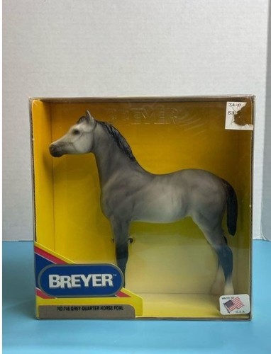 Puledro cavallo quarto - , grigio