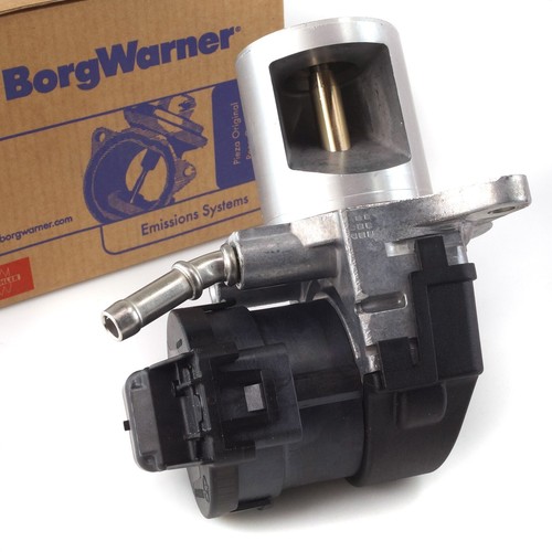 Borgwarner valvola egr per - valvola,