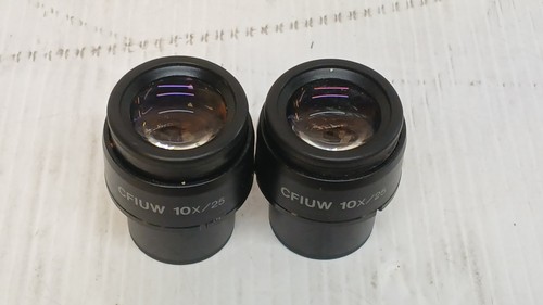 Coppia oculari microscopio