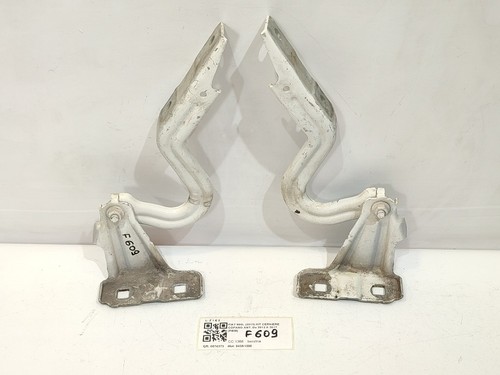 Cerniere cofano anteriore e - cofano,