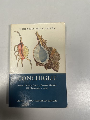 CONCHIGLIE