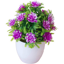 Plastic Bonsai Entrance Potted