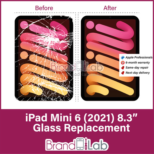 Ipad mini schermo - mini, 6
