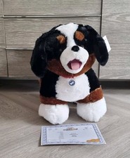 Costruisci un orso gigante