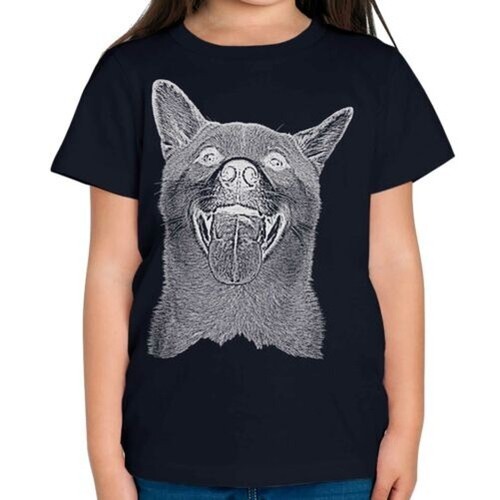Shiba inu schizzo - shiba,