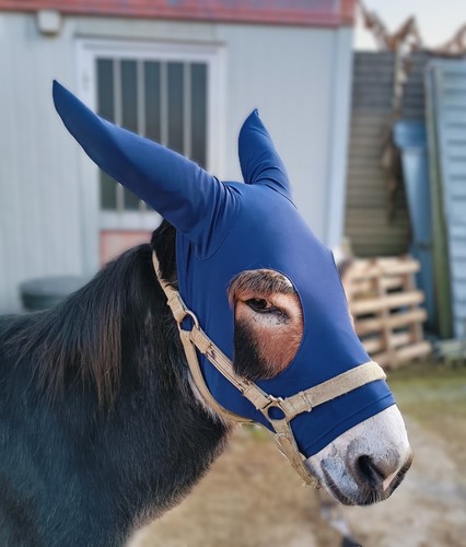 Maschera asini lycra di - asini, in