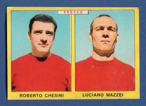 Figurina calciatori panini - figurina,