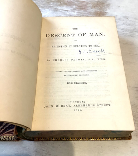 1899 charles darwin descent - darwin,