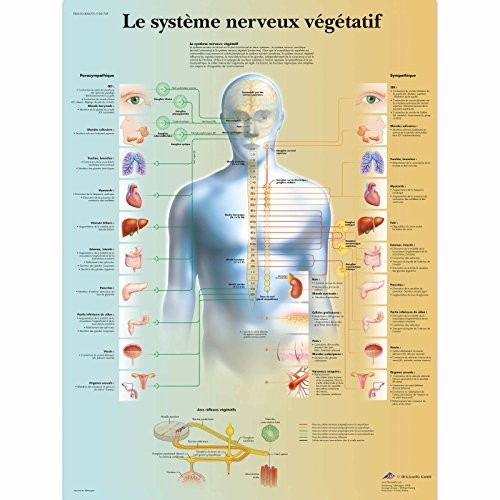 Scientific tavola educativa - tavola,