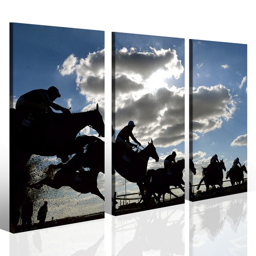 Quadri equitazione cavallo - quadri,