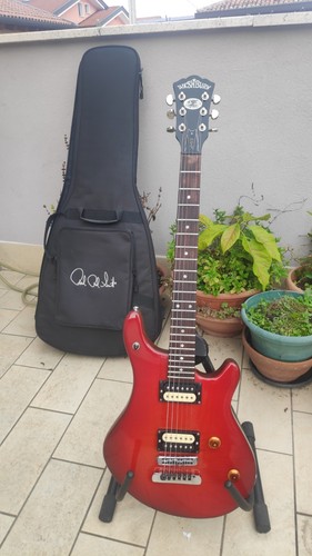 Washburn wm100 custom shop - washburn,