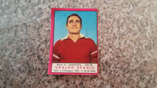 SPANIO (MANTOVA) ALBUM