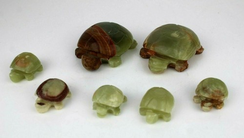 Collezione tartarughe - collezione, 7