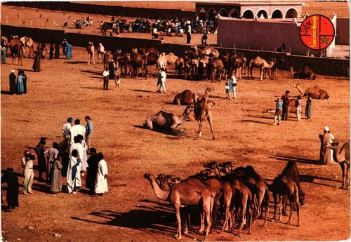 Cpm maroc goulimine porte du - cpm,