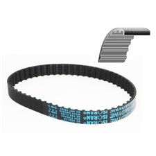 CINGHIA DENTATA 80 XL 037 PER