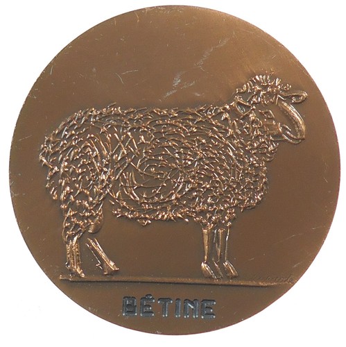 Agricoltura ovini betine - ovini,