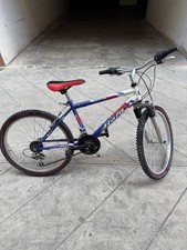 bicicletta ragazzo