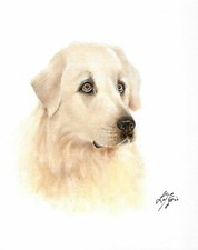 ❈ Dipinto ritratto olio