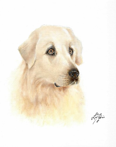 Dipinto ritratto olio - ❈,