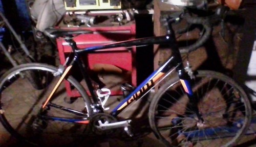Giant contend 3 - giant,