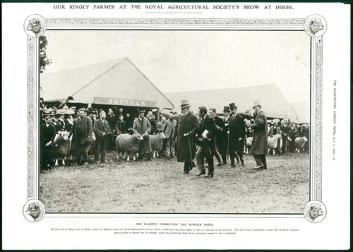 Stampa antica 1906 - ,