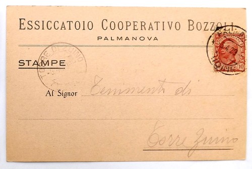 Essiccatoio cooperativo - essiccatoio,