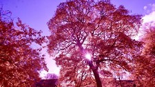 Filtro aerocromatico chrome - filtro, aerocromatico/ir-chrome