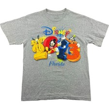 T-shirt Disney Florida grigia media 2013 parco a tema turistico USA America Disney M