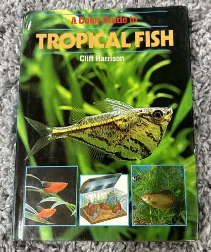 Color guide tropical fish - a,