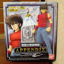 Saint Cloth Myth APPENDICE