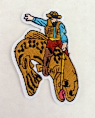 Cowboy bull riding fish - cowboy,