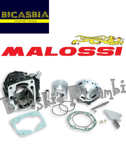 13264 cilindro malossi - -,