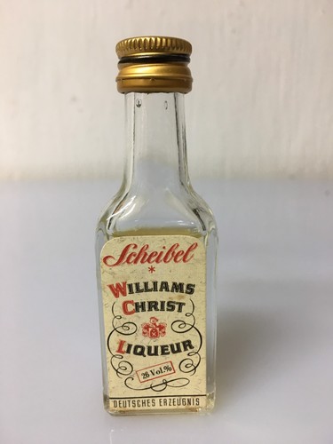 Mignon miniature scheibel - mignon,