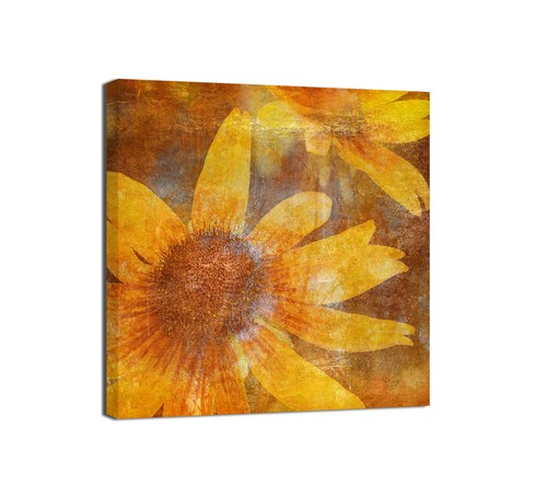 Canvashop quadri fiori - canvashop,