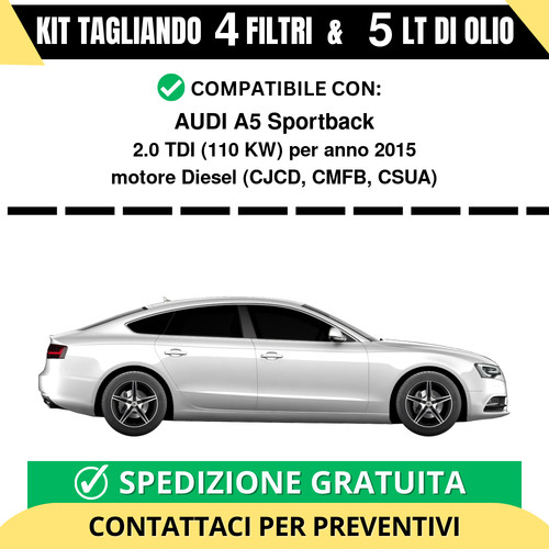 Tagliando per audi - per,